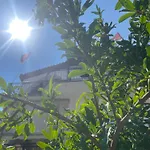 Irvin Maison d'hôtes Berat