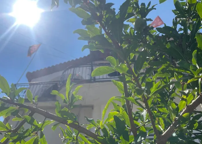 Irvin Affittacamere Berat