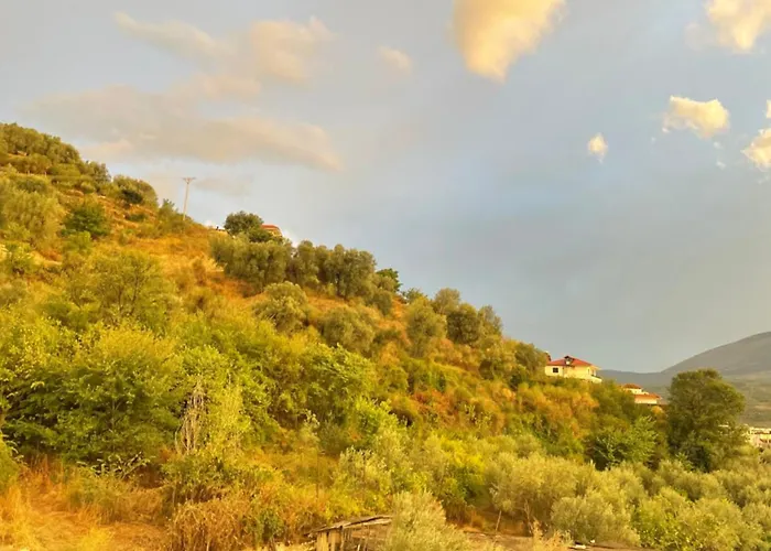 ゲストハウス Irvin ベラト