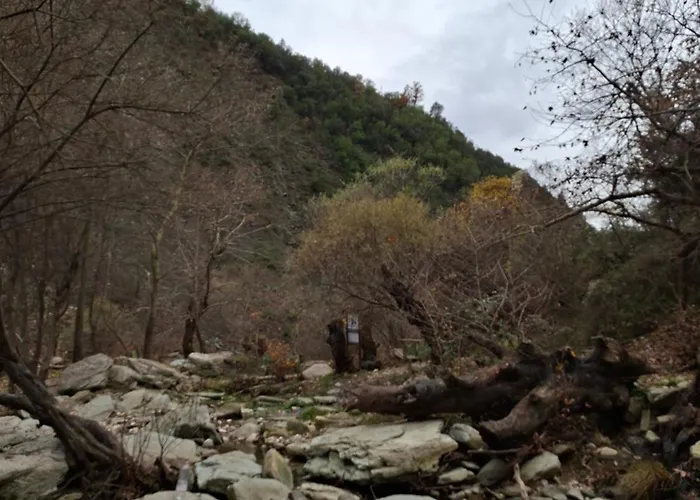 ゲストハウス Irvin ベラト