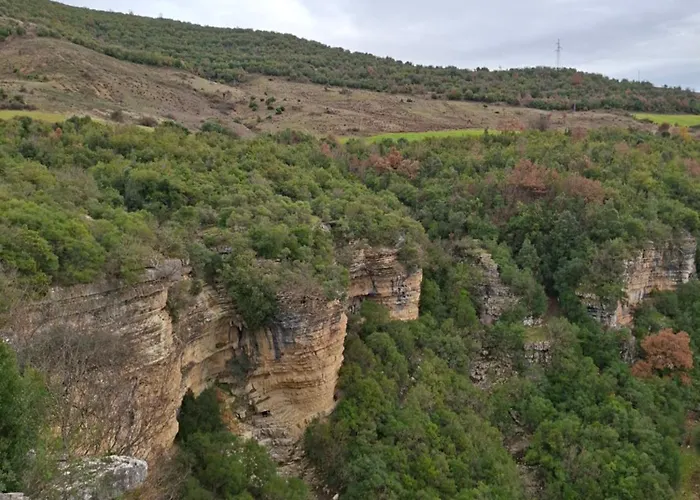 Irvin ゲストハウス